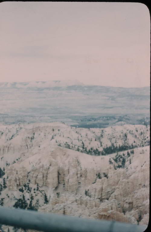 00520040.JPG